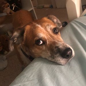 Meet your Posher, Ellie